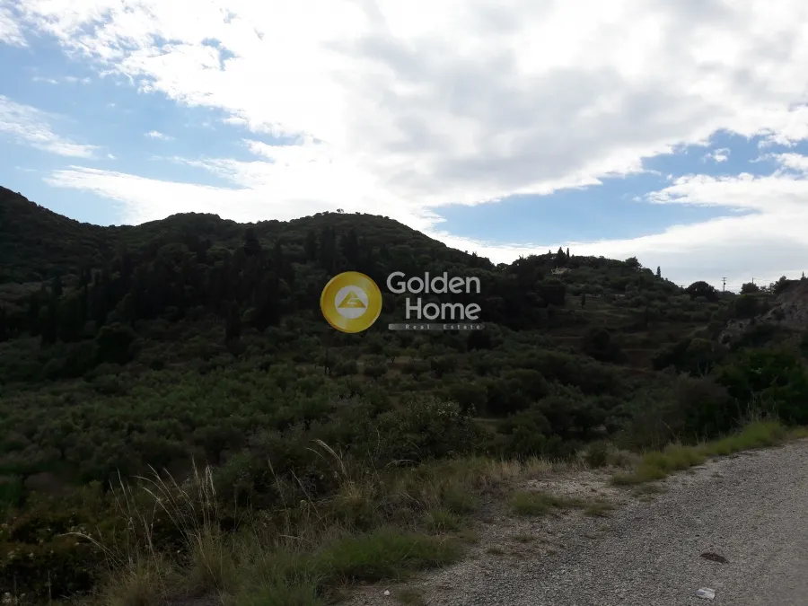 Land Parcel 21779m²  - 4