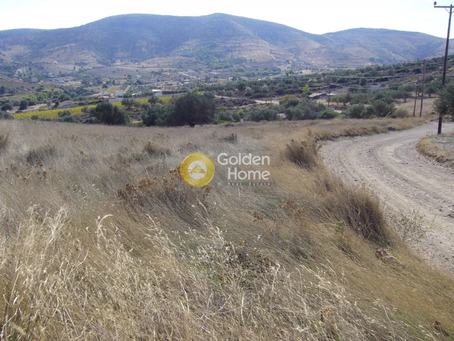 Land Parcel 7264m²  - 3