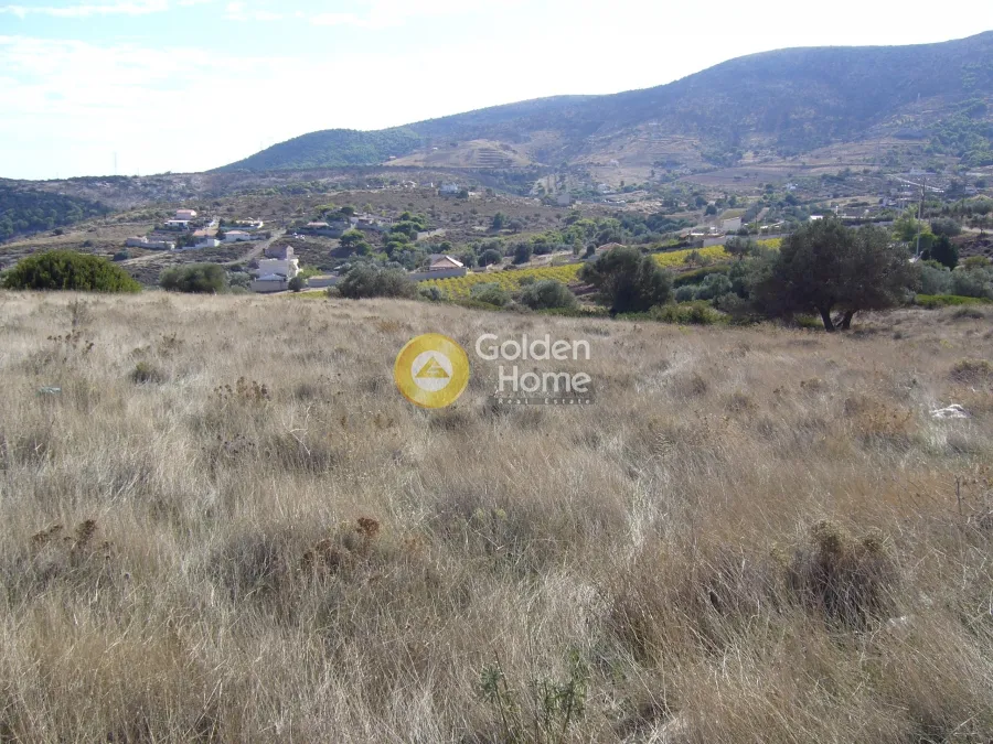 Land Parcel 7264m²  - 4
