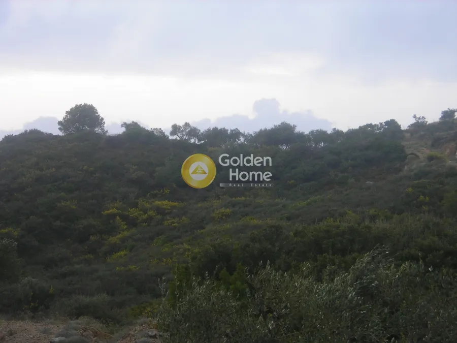 Land Parcel 45907m²  - 2