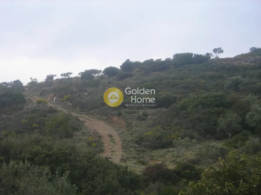 Land Parcel 45907m²  - 3