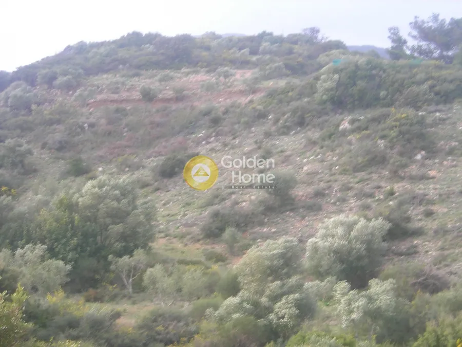 Land Parcel 45907m²  - 4