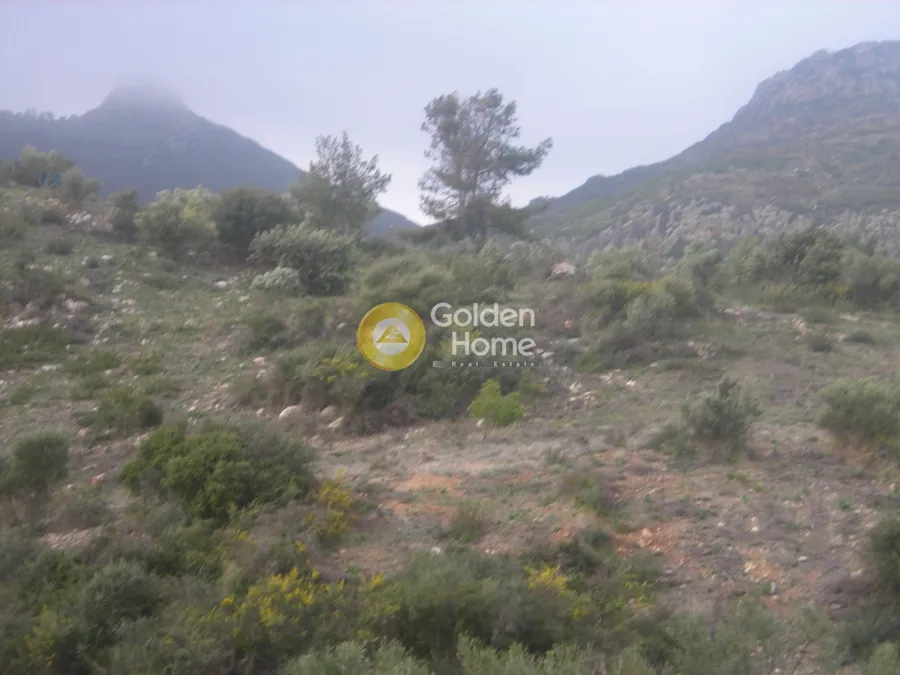Land Parcel 45907m²  - 5