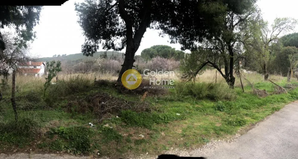 Land Parcel 384m²  - 2