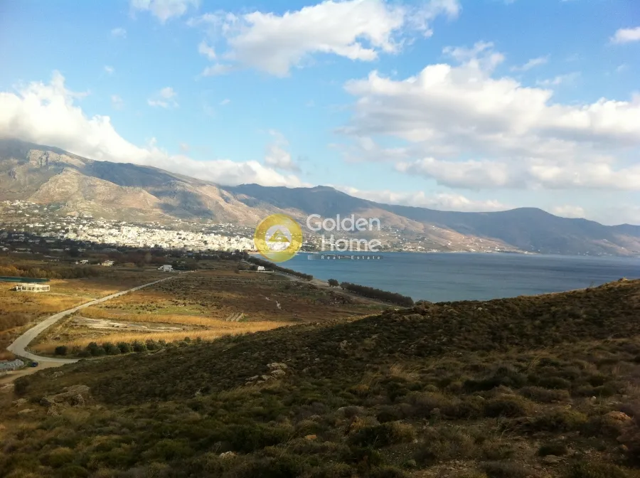 Land Parcel 20000m²  - 2