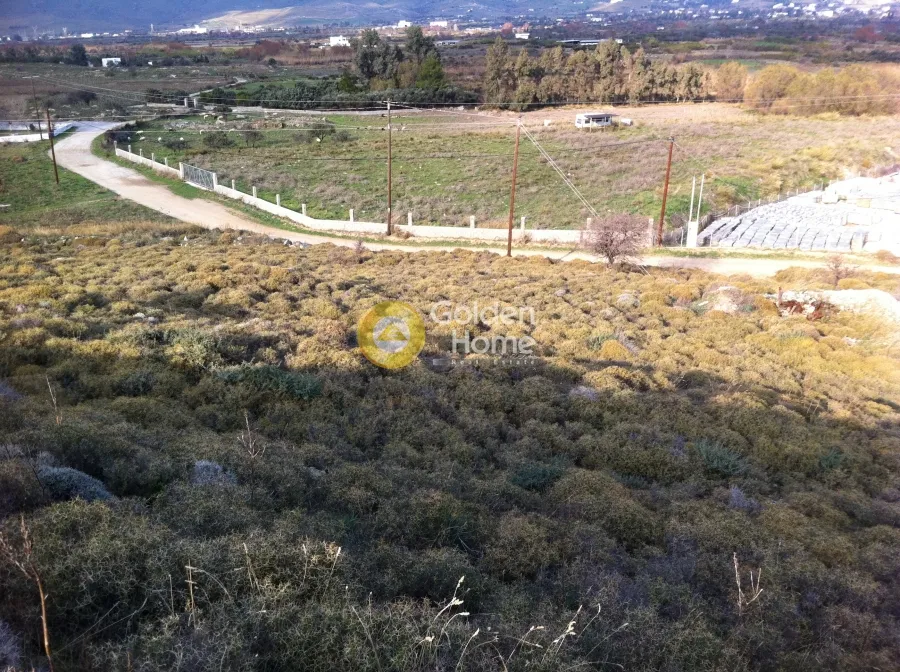 Land Parcel 20000m²  - 3