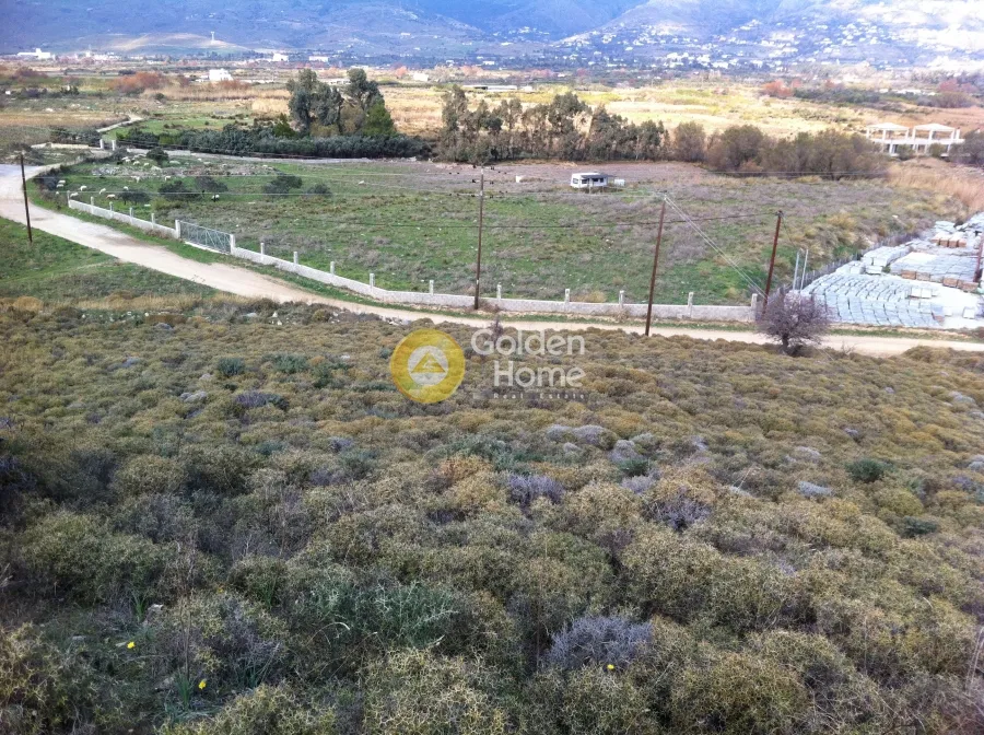Land Parcel 20000m²  - 4