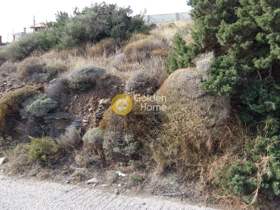 Land Parcel 1554m²  - 5