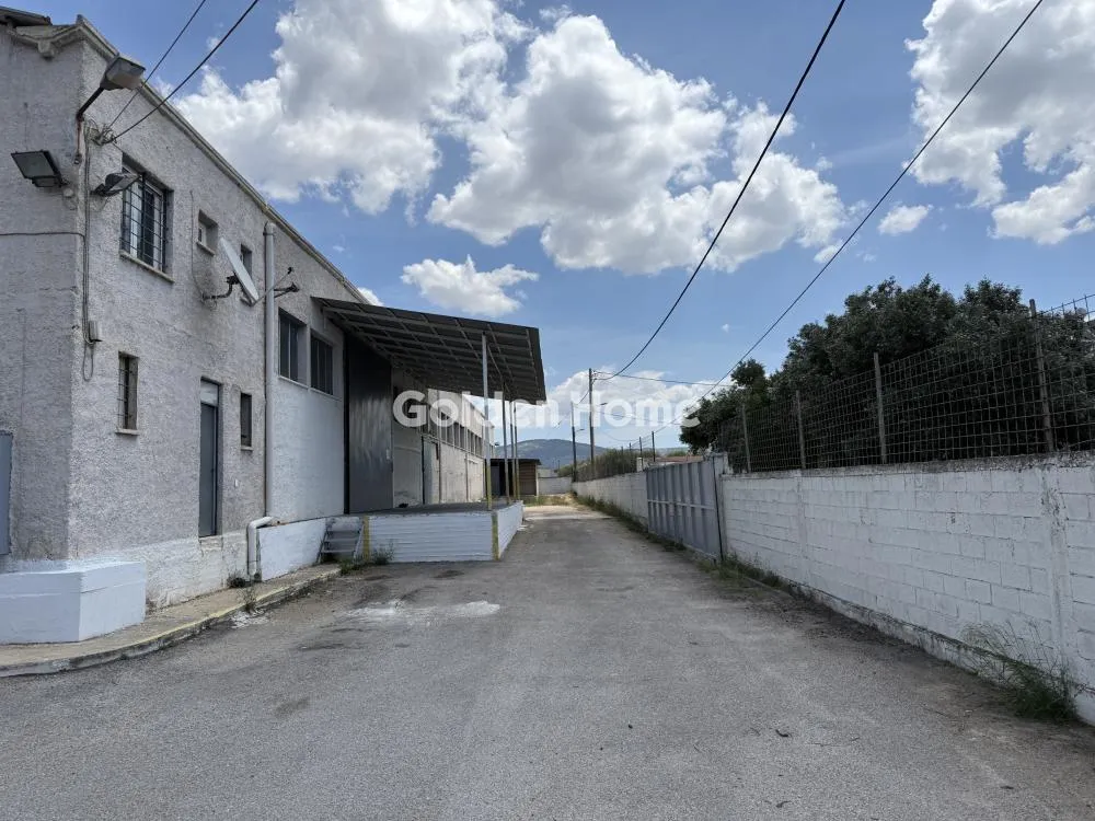 Warehouse 2250m²  - 5