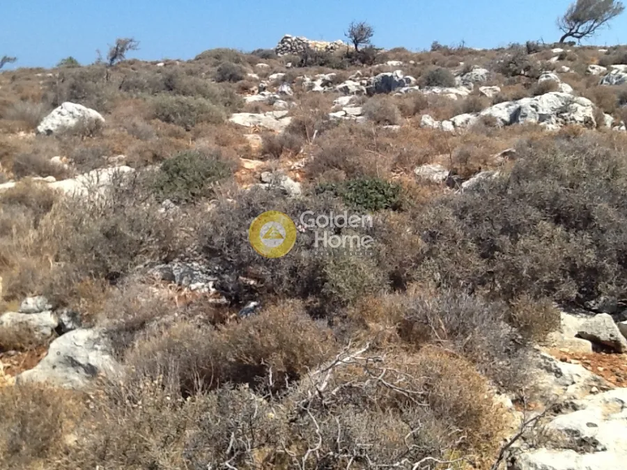 Αγροτεμάχιο 10884τ.μ.  - 2