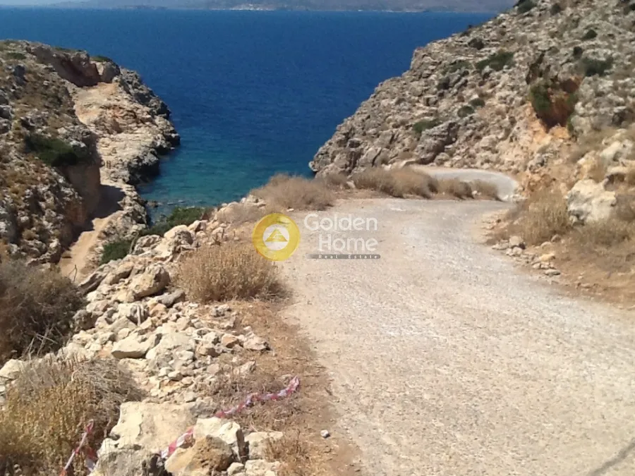 Αγροτεμάχιο 10884τ.μ.  - 3