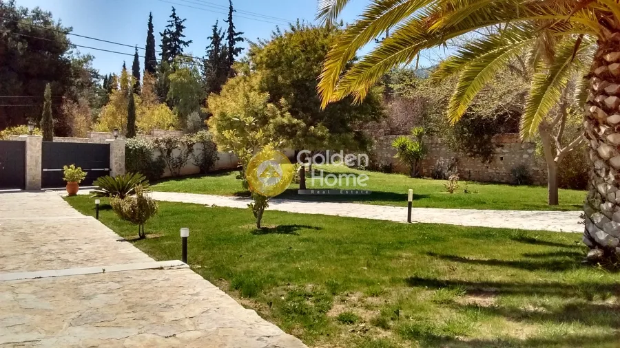 Detached house 530m²  - 2