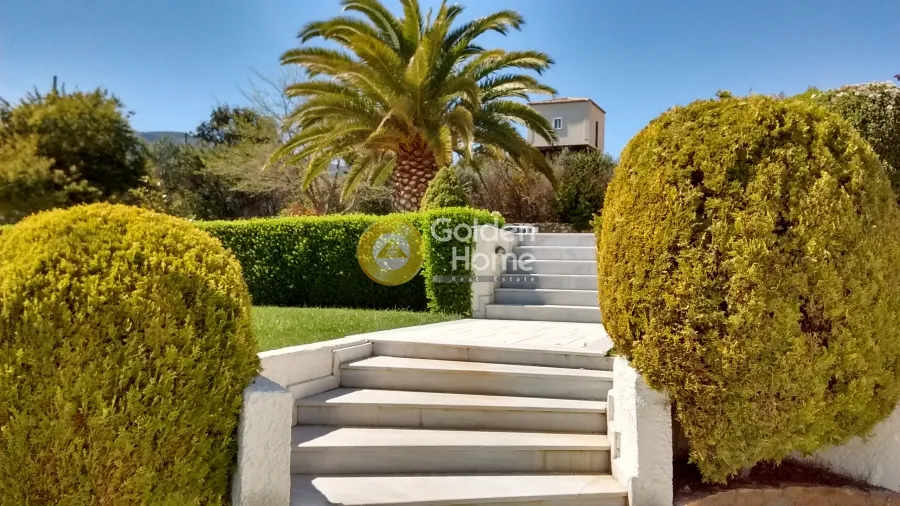 Detached house 530m²  - 4