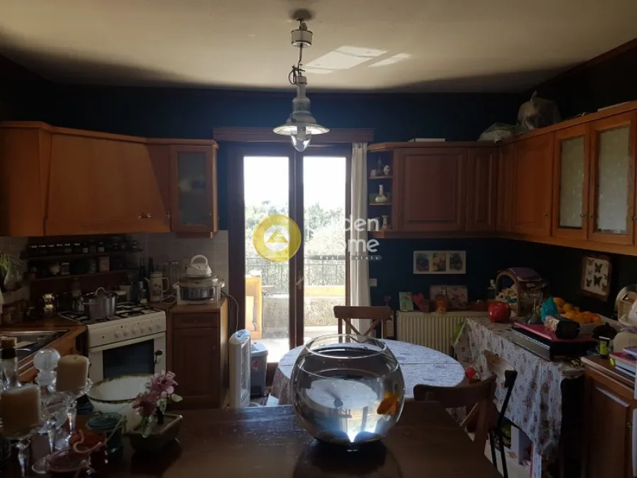 Detached house 213m²  - 4