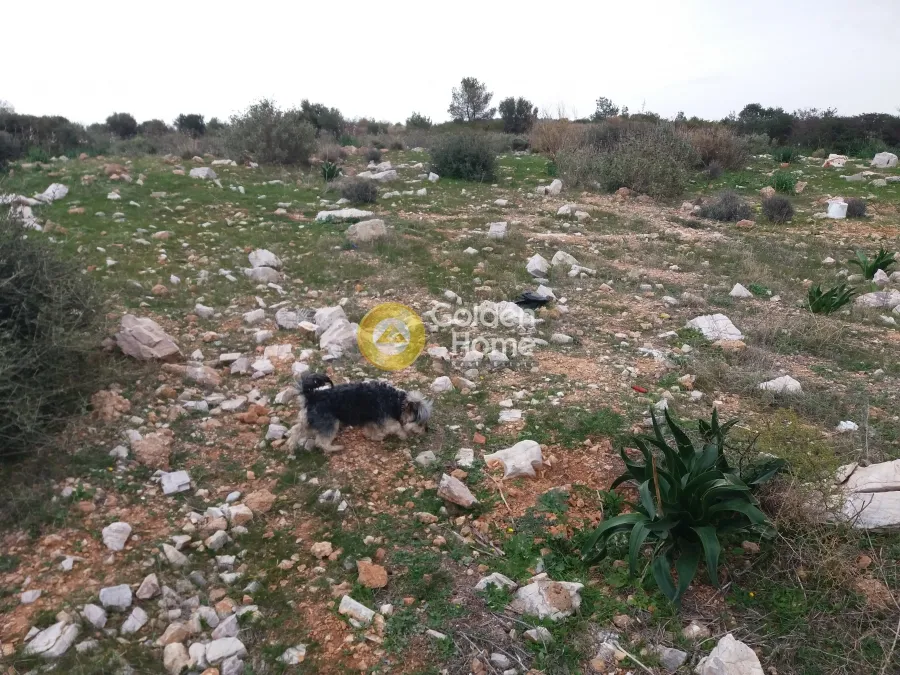 Land Parcel 9000m²  - 2