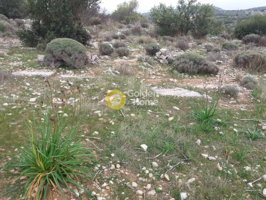 Land Parcel 9000m²  - 3