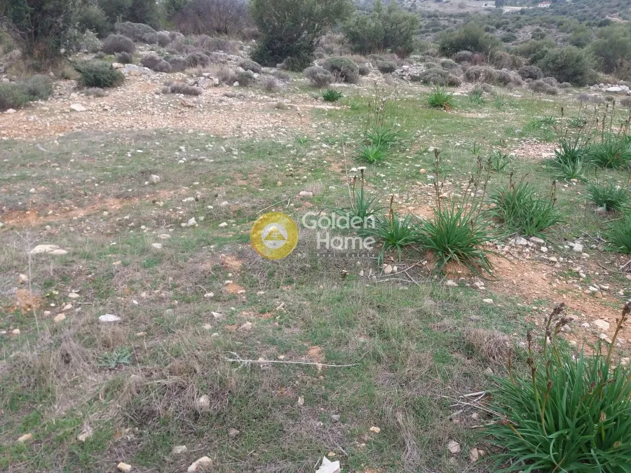 Land Parcel 9000m²  - 5