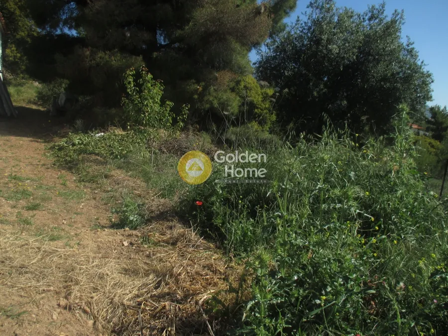 Land Parcel 250m²  - 2