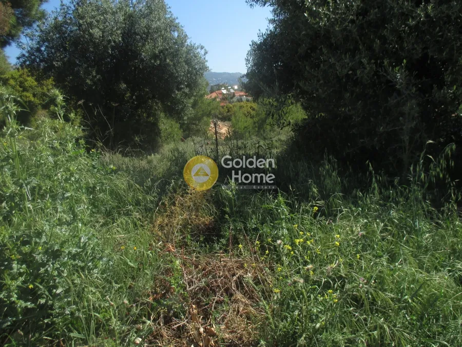 Land Parcel 250m²  - 3