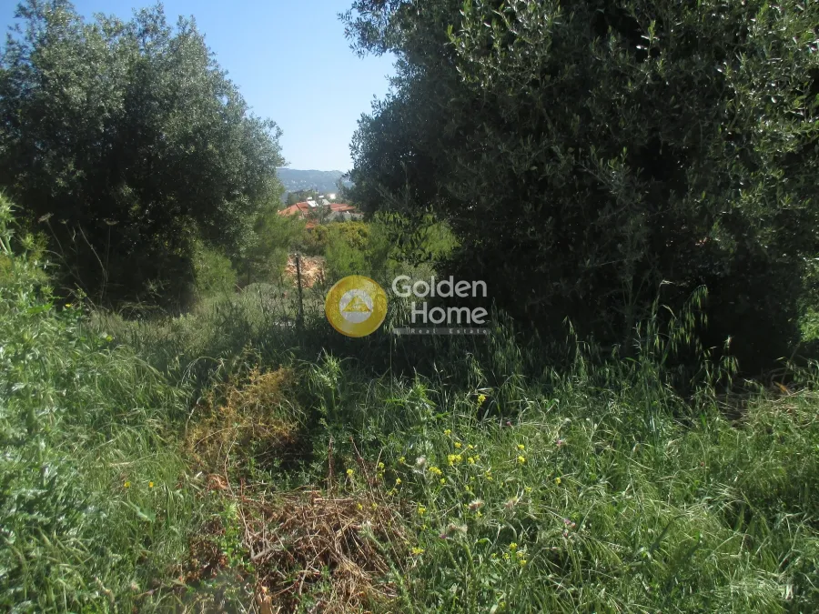Land Parcel 250m²  - 4