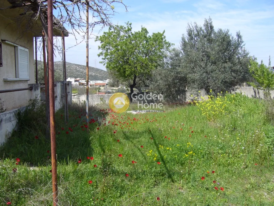 Μονοκατοικία 74τ.μ.  - 5
