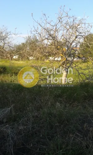 Land Parcel 1880m²  - 2
