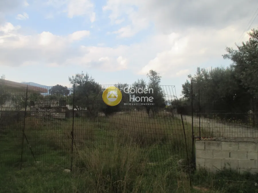 Land Parcel 960m²  - 2