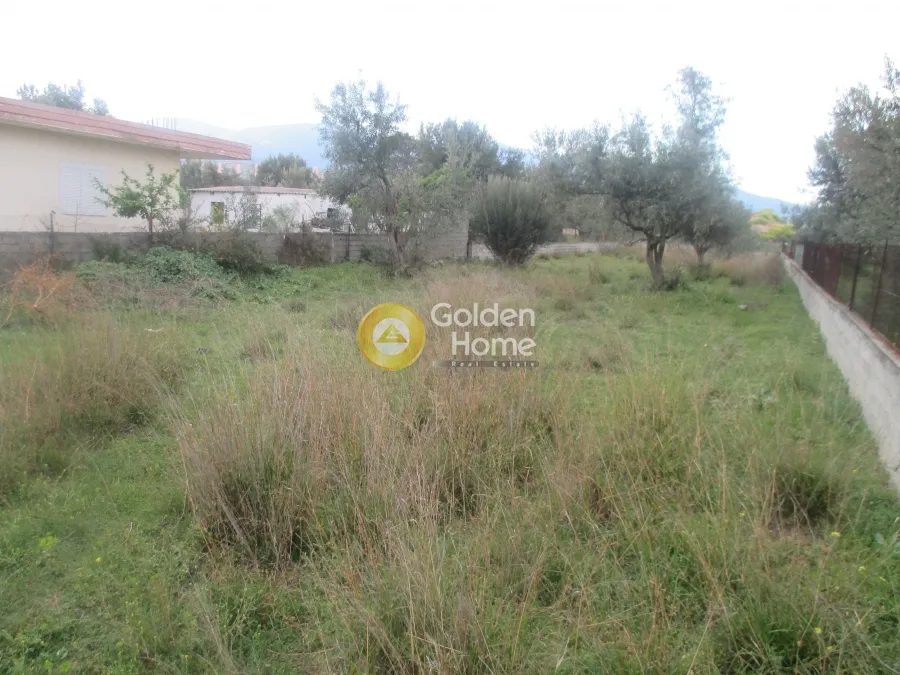 Land Parcel 960m²  - 4