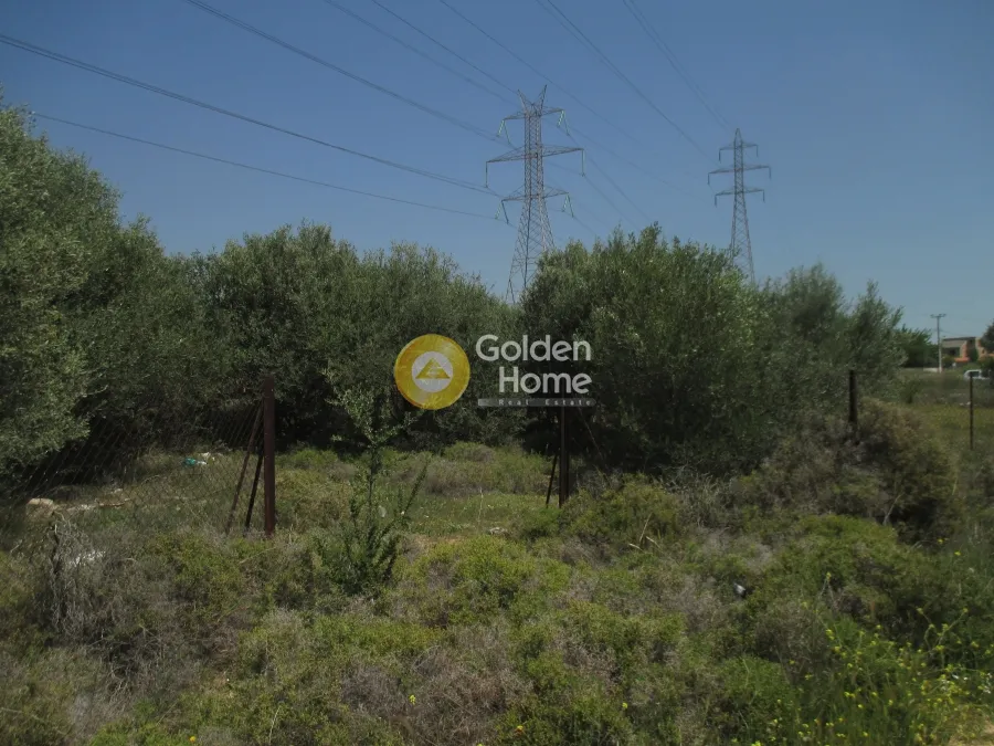 Land Parcel 428m²  - 3