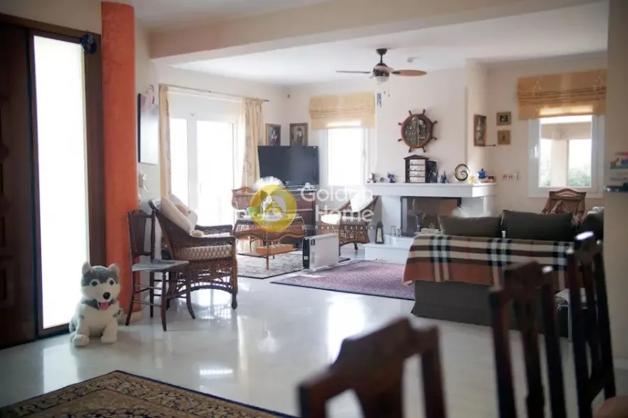 Detached house 510m²  - 5