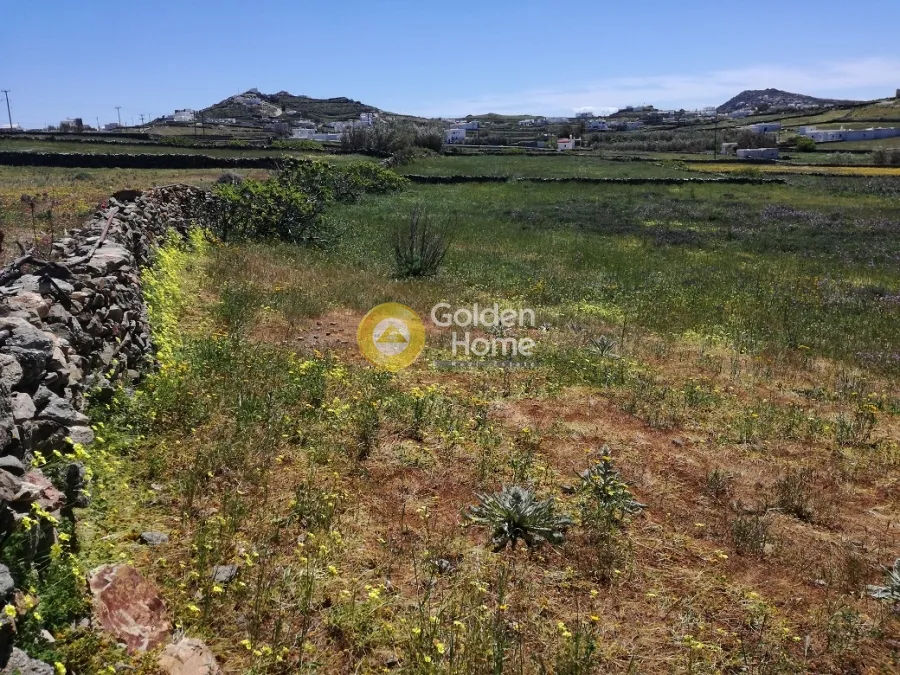 Αγροτεμάχιο 4750τ.μ.  - 3