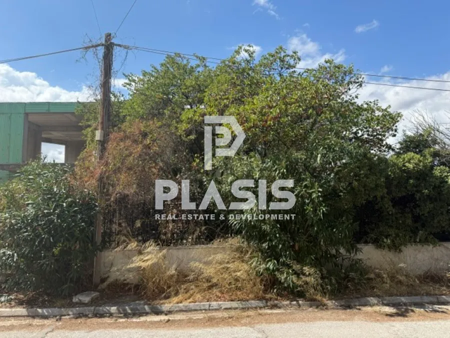 Plot 550m²  - 2