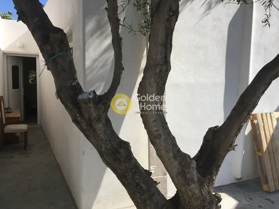 Άλλο..  260τ.μ.  - 4