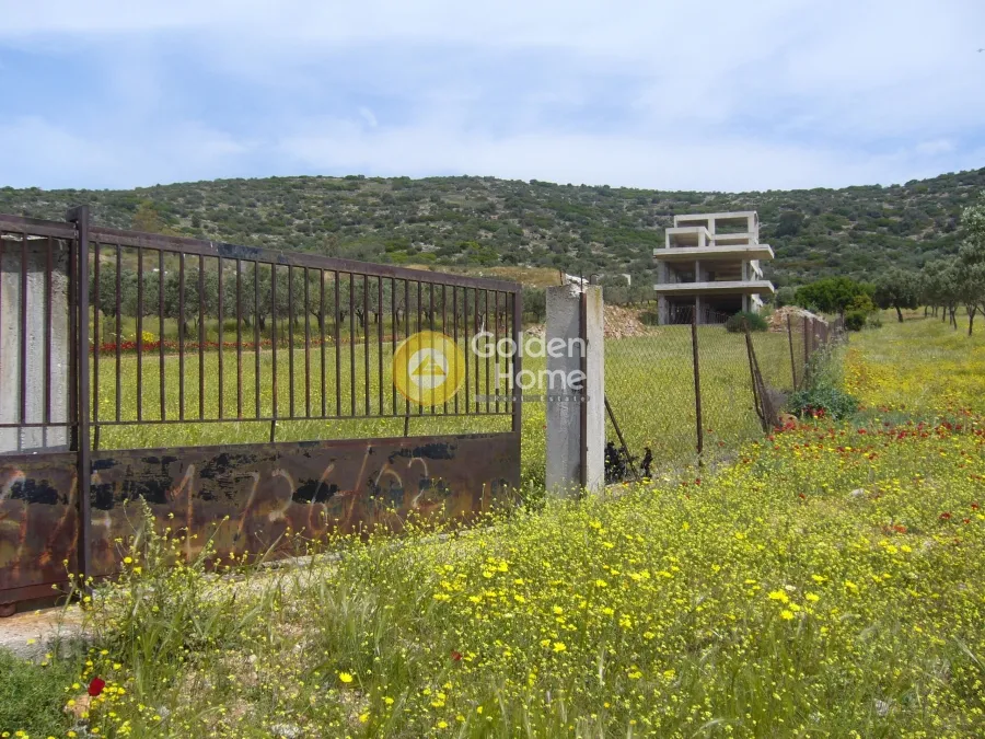 Μονοκατοικία 369τ.μ.  - 2