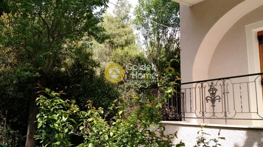 Apartment 174m²  - 2