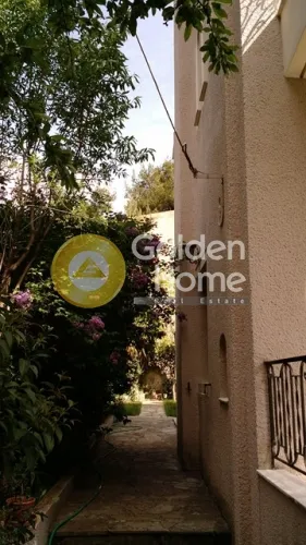 Apartment 174m²  - 4