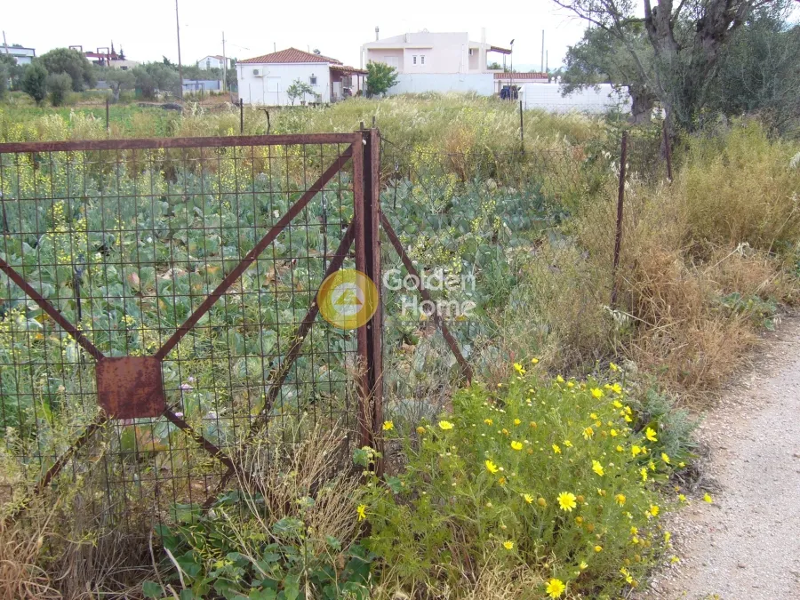 Άλλο.. 2590τ.μ.  - 2