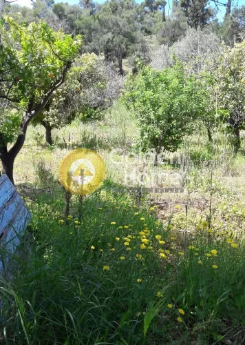 Μονοκατοικία 131τ.μ.  - 4