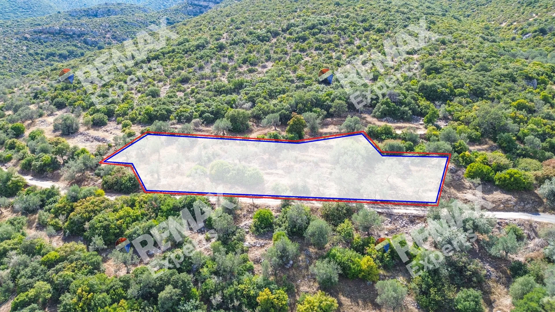 Οικόπεδο 719τ.μ.  - 3