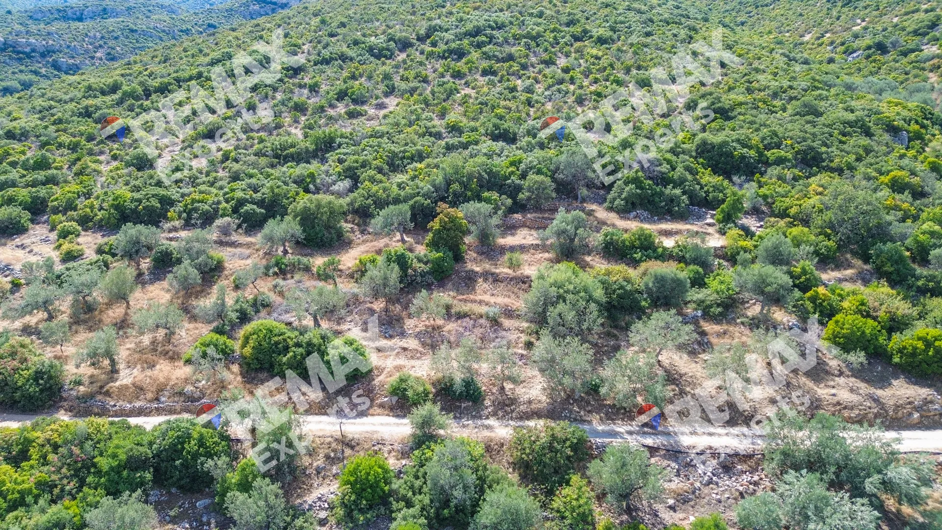 Οικόπεδο 719τ.μ.  - 5