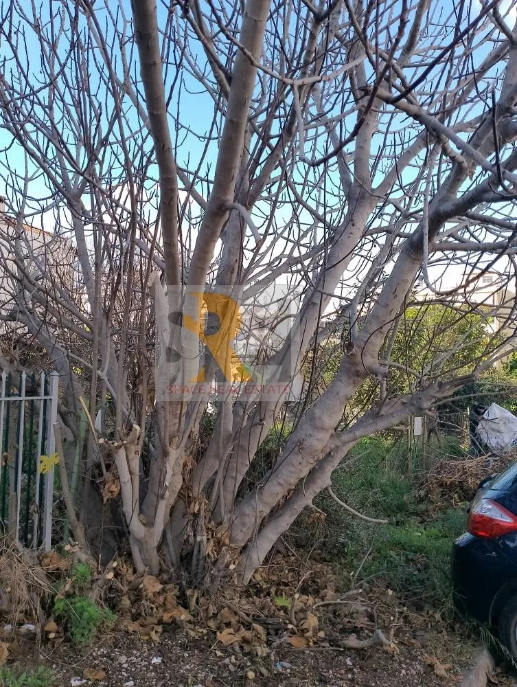 Οικόπεδο 265τ.μ.  - 2