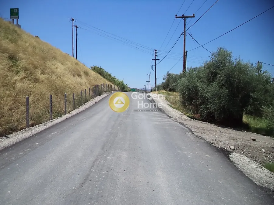Αγροτεμάχιο 10200τ.μ.  - 3
