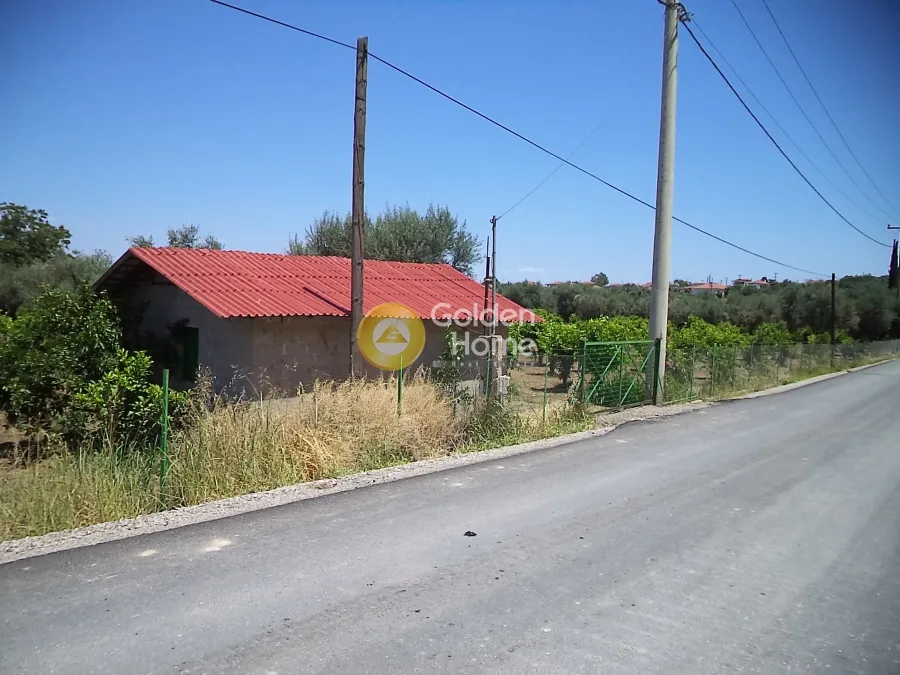 Αγροτεμάχιο 10200τ.μ.  - 4