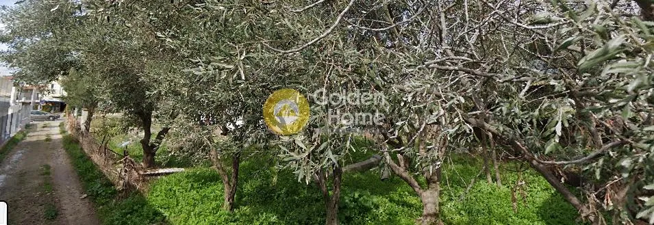 Αγροτεμάχιο 344τ.μ.  - 2