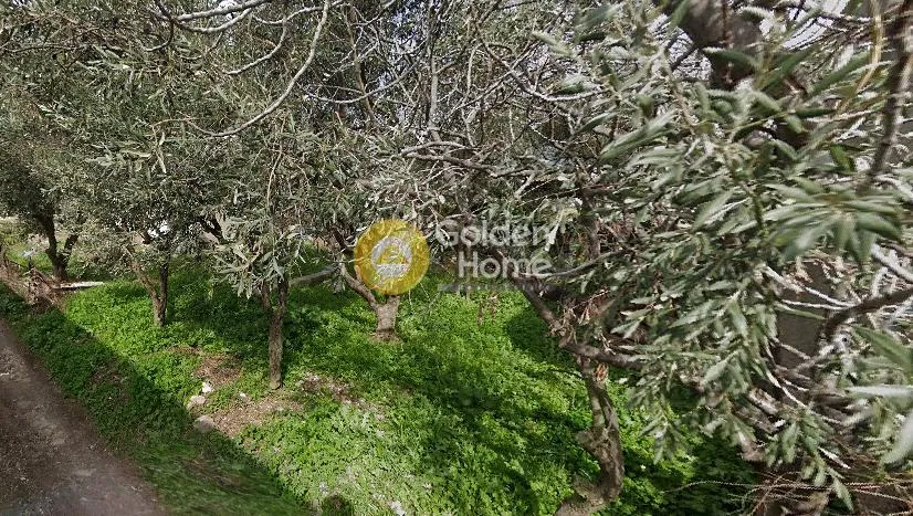 Αγροτεμάχιο 344τ.μ.  - 4