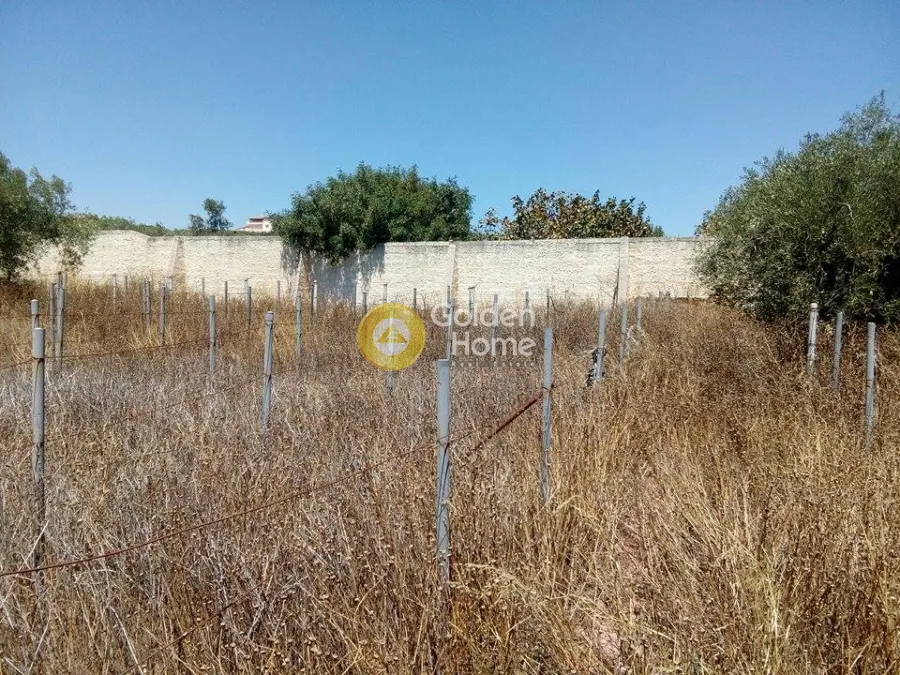 Κατάστημα 800τ.μ.  - 4