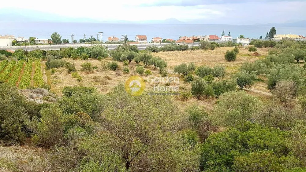 Land Parcel 6700m²  - 5