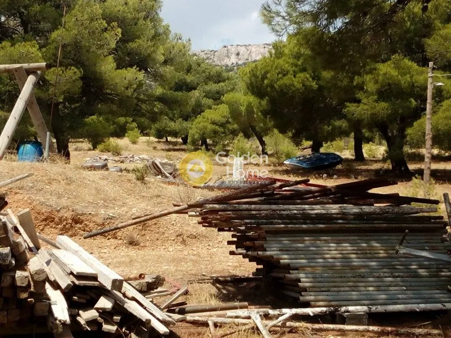 Μονοκατοικία 300τ.μ.  - 3