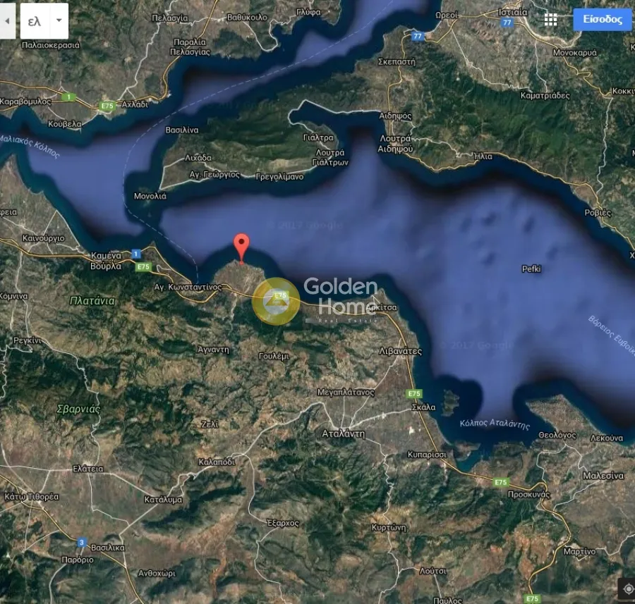 Αγροτεμάχιο 8000τ.μ.  - 3