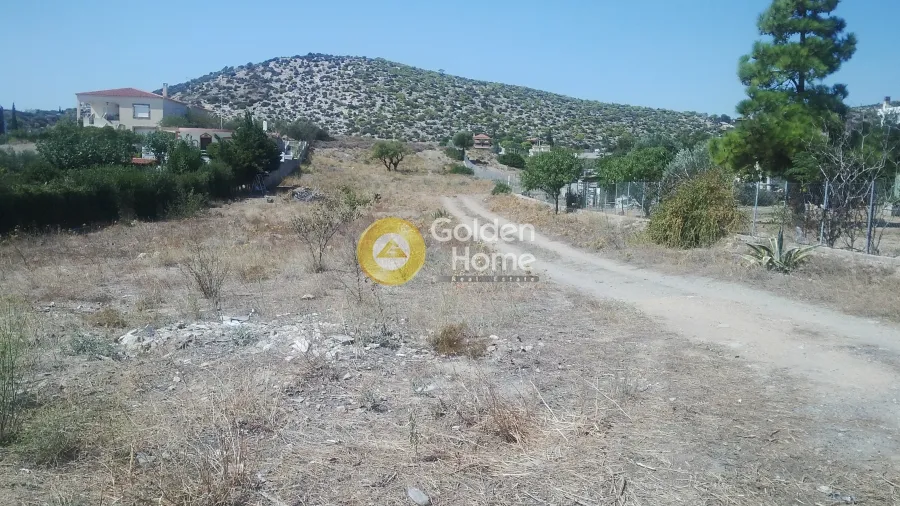 Αγροτεμάχιο 3300τ.μ.  - 2
